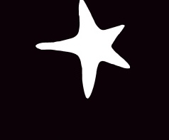 star